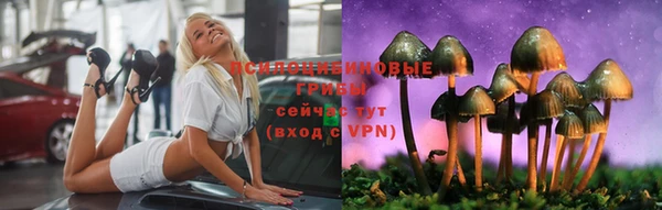2c-b Богородск