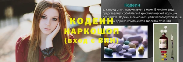 шишки Богородицк