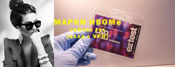 шишки Богородицк