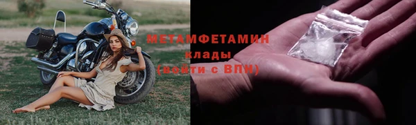 шишки Богородицк