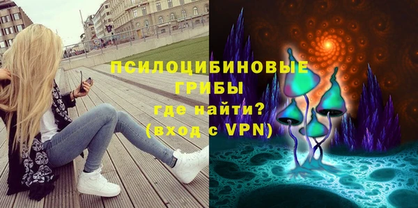 шишки Богородицк