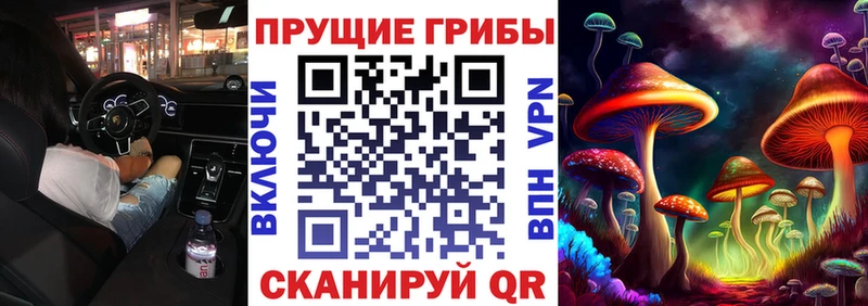 Псилоцибиновые грибы мухоморы  купить наркотики цена  Иркутск 